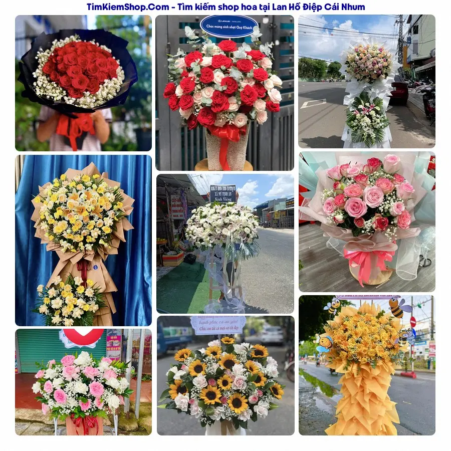 Hoa Tươi Yumi - Hoa Tươi Cái Nhum