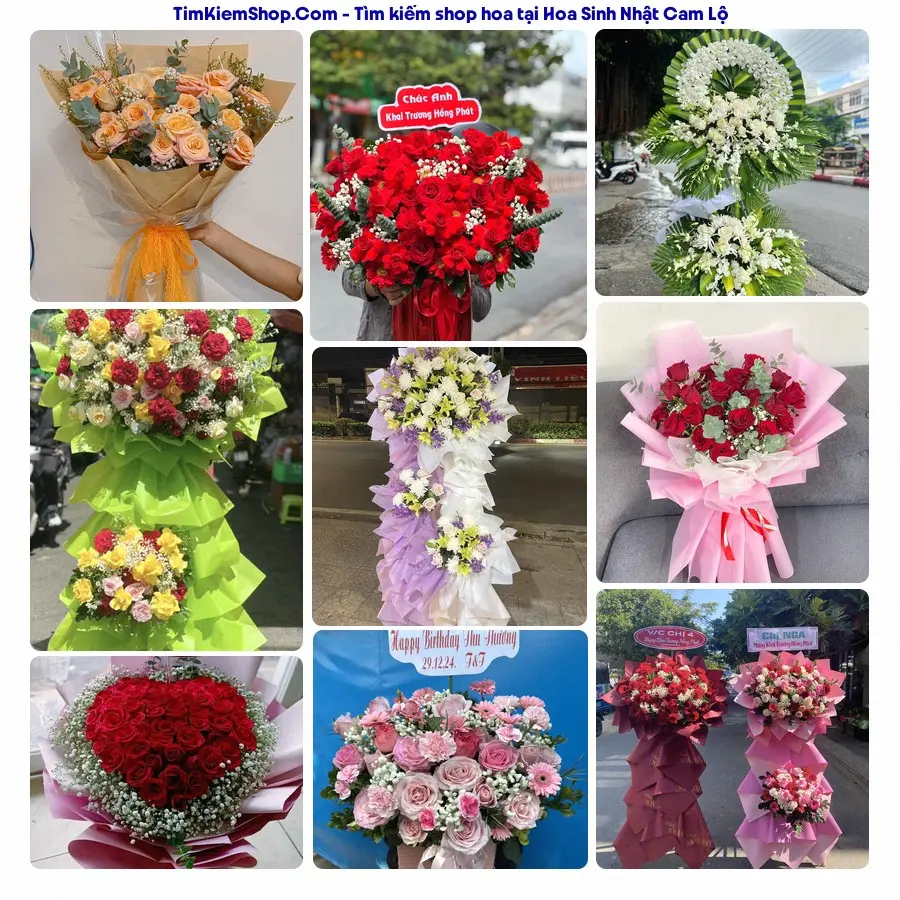 Hoa Tươi Yumi - Hoa Tươi Cam Lộ