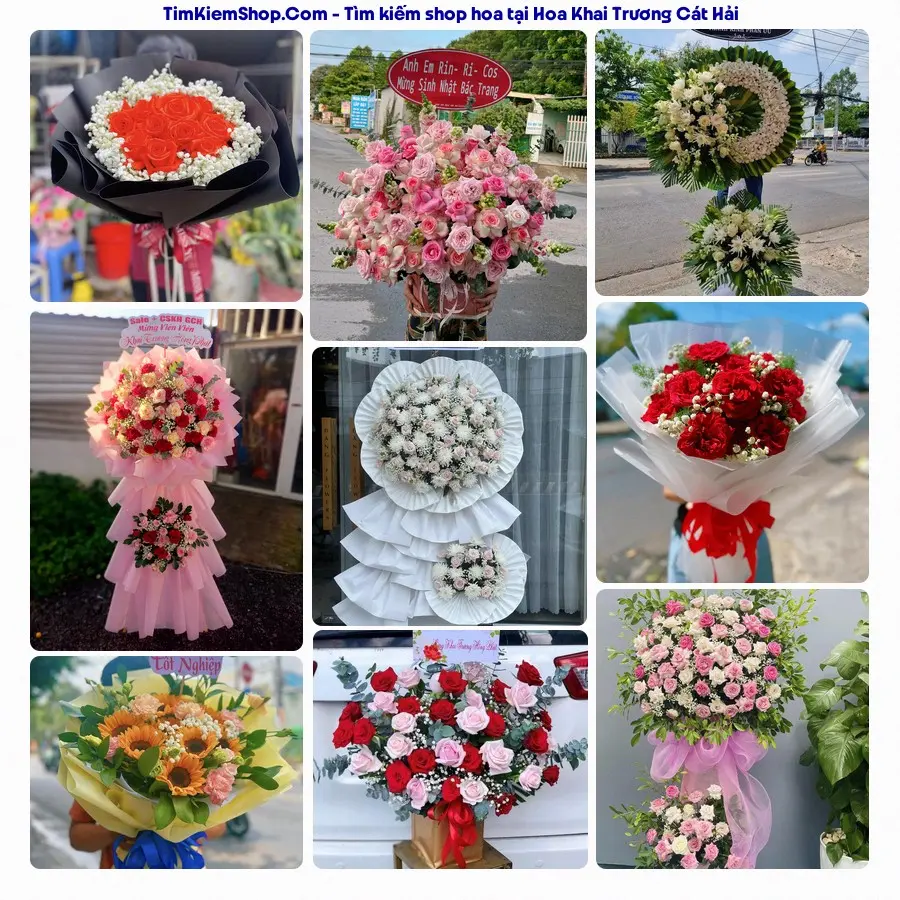 Hoa Tươi Yumi - Hoa Tươi Cát Hải