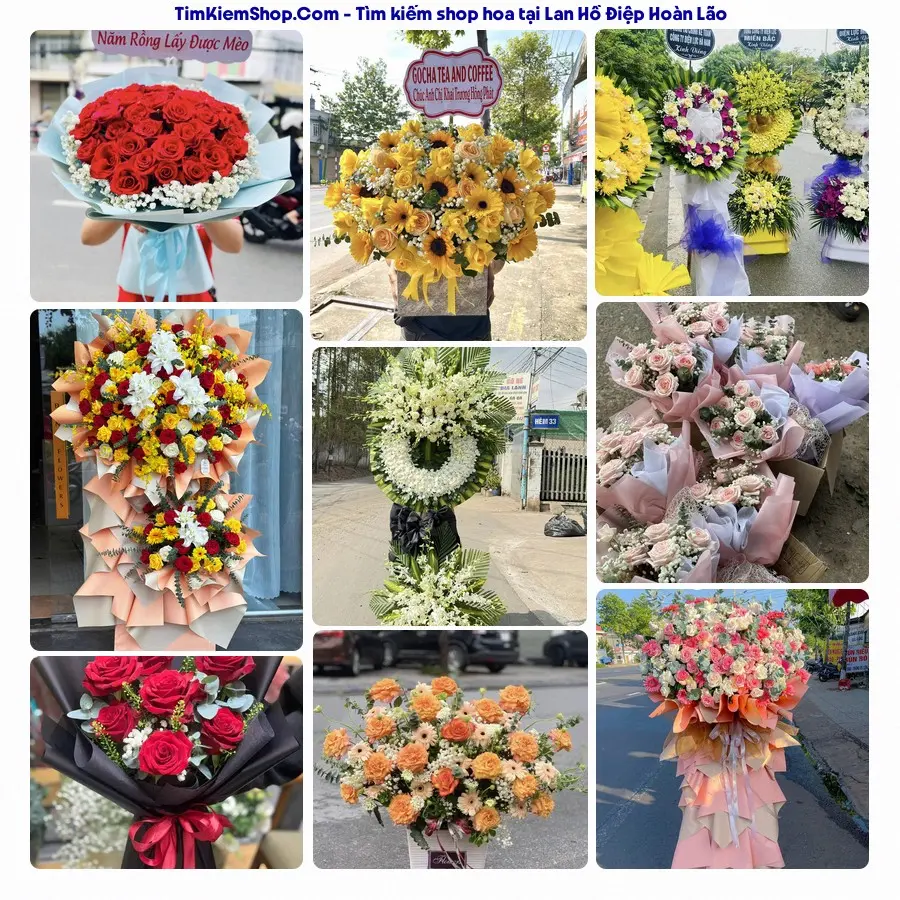 Hoa Tươi Yumi - Hoa Tươi Hoàn Lão