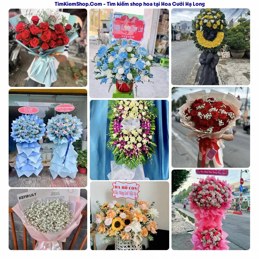 Hoa Tươi Yumi - Hoa Tươi Phường Hạ Long