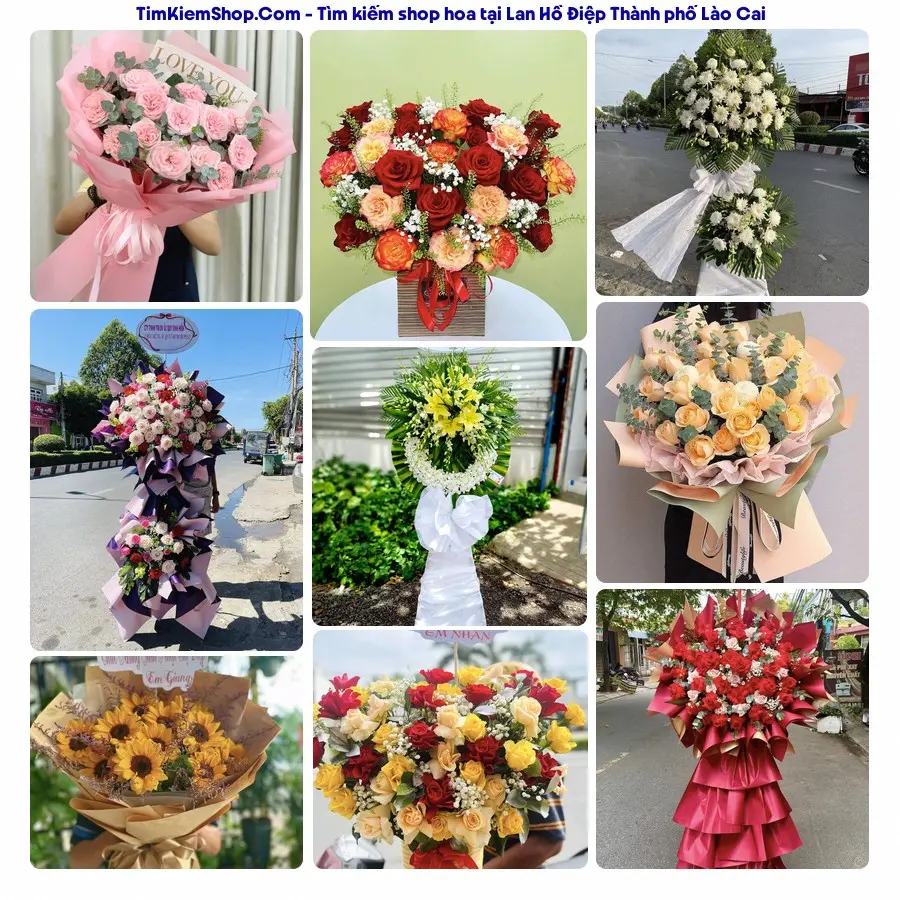 Hoa Tươi Yumi - Hoa Tươi Thành phố Lào Cai