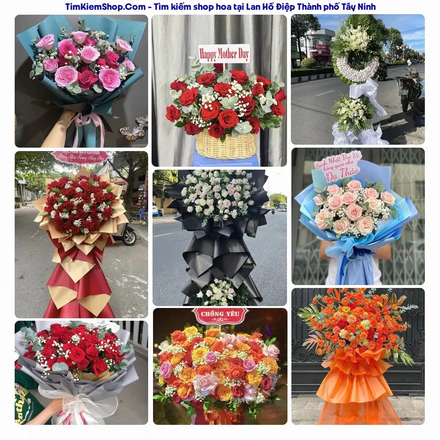 Hoa Tươi Yumi - Hoa Tươi Thành phố Tây Ninh
