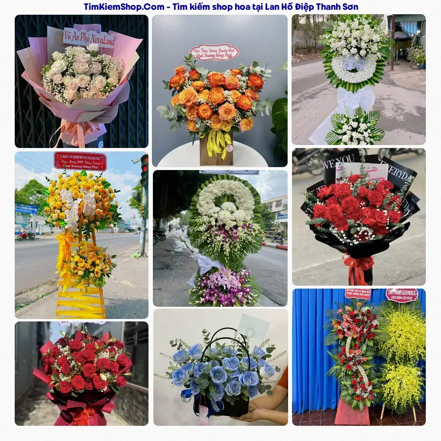 Hoa Tươi Yumi - Hoa Tươi Thanh Sơn