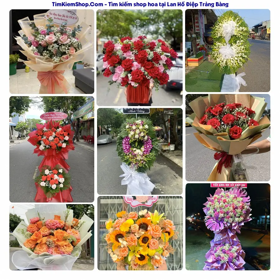Hoa Tươi Yumi - Hoa Tươi Trảng Bàng