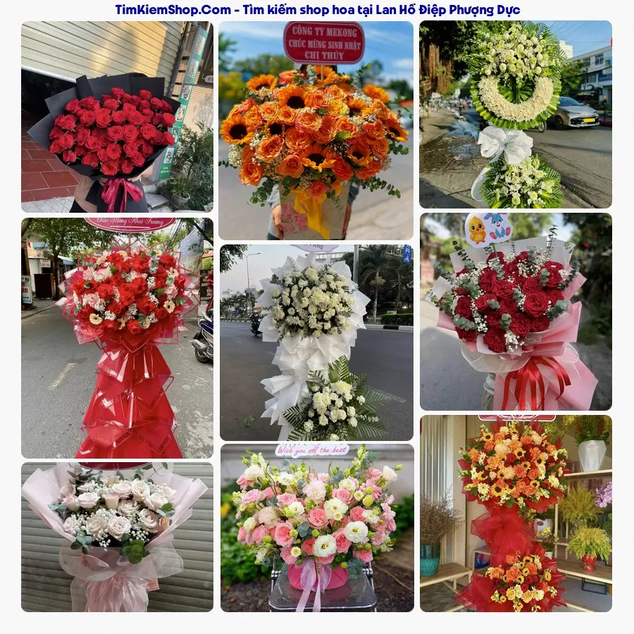 Hoa Tươi Yumi - Hoa Tươi Xã Phượng Dực