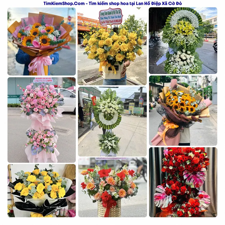 Hoa Tươi Yumi - Shop Hoa Xã Cờ Đỏ