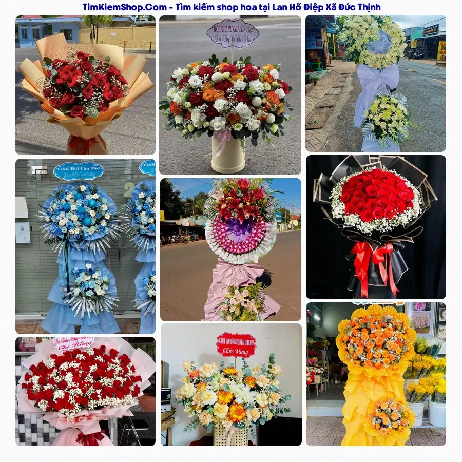 Hoa Tươi Yumi - Shop Hoa Xã Đức Thịnh
