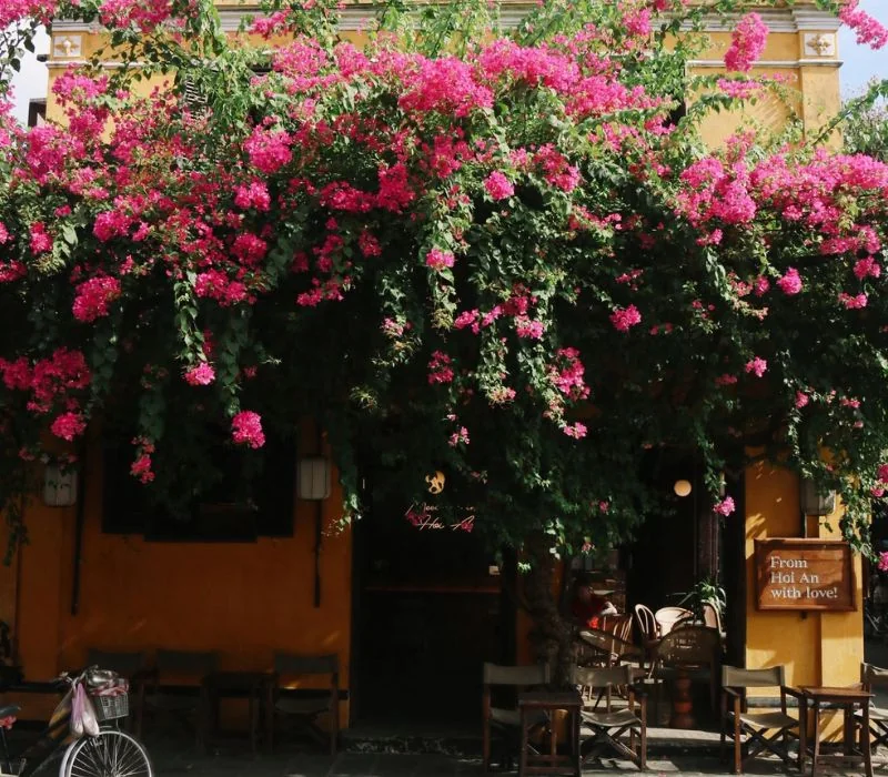 Moments Hoi An