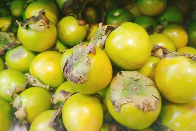 Hồng giòn Đà Lạt