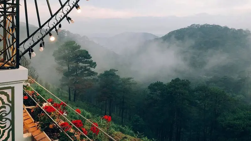 Săn mây lúc bình minh