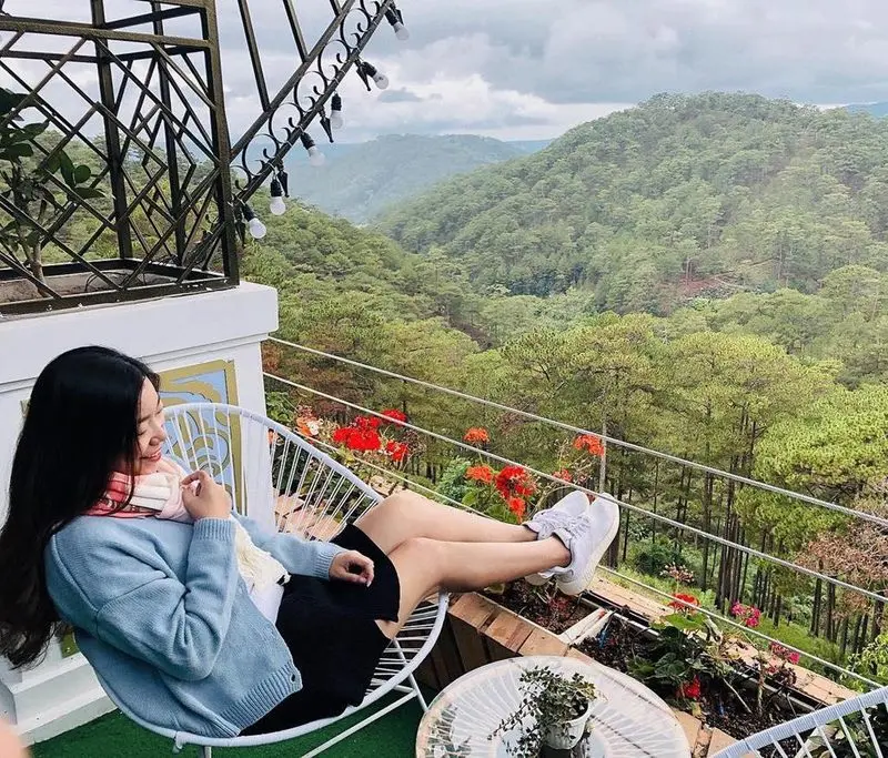 Ban công nhìn rừng thông