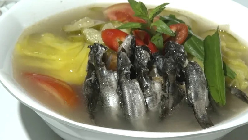 Cá ngạnh um măng