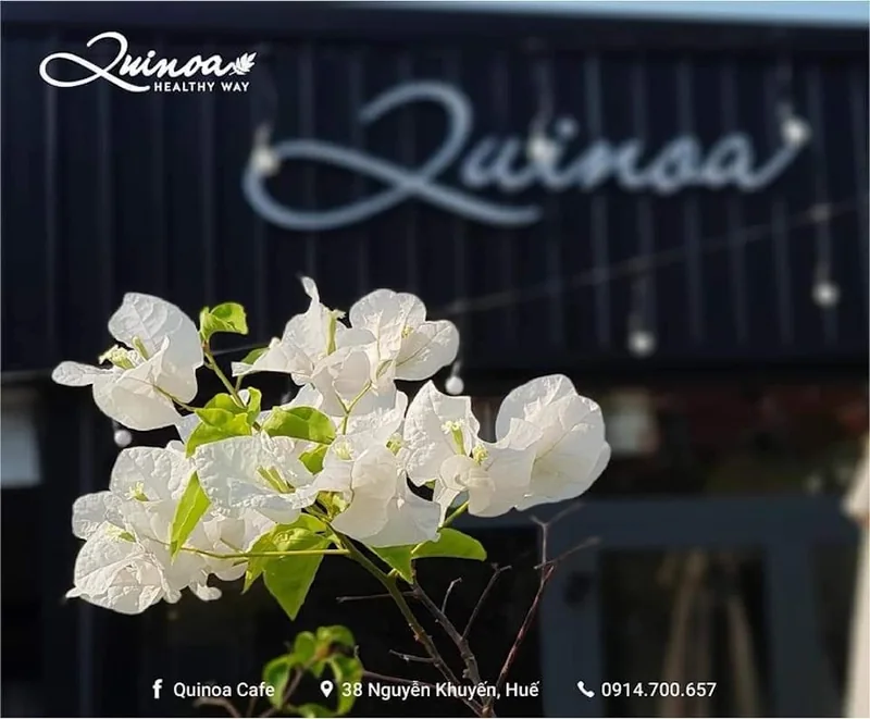 Quinoa Café Healthy Way