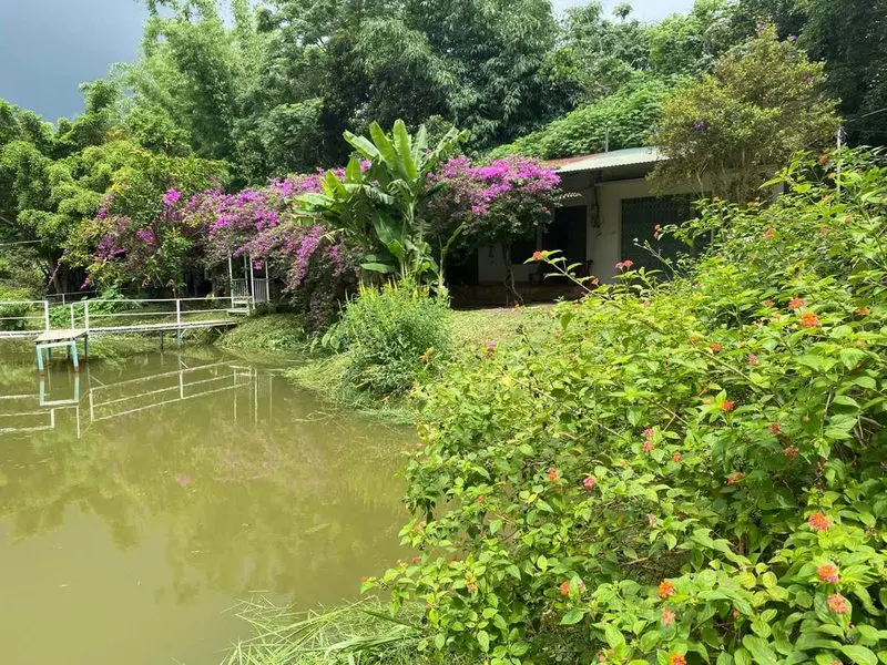 Hương Đồng
