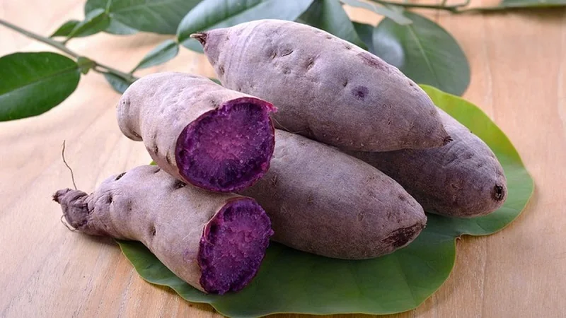 Khoai tím Lục Yên