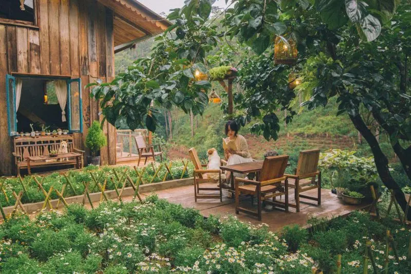 Lưng Chừng