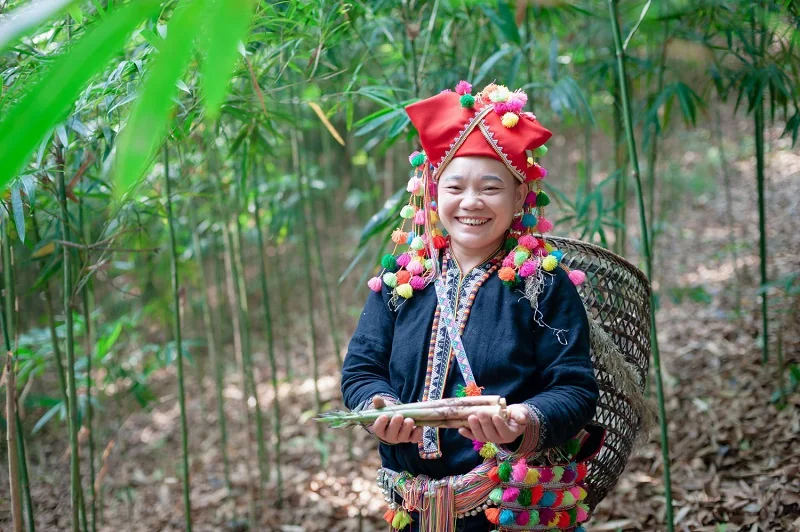 Măng sặt Yên Bái
