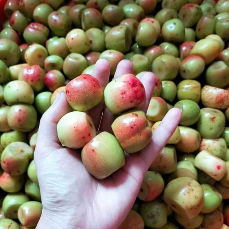 Táo mèo Mường La