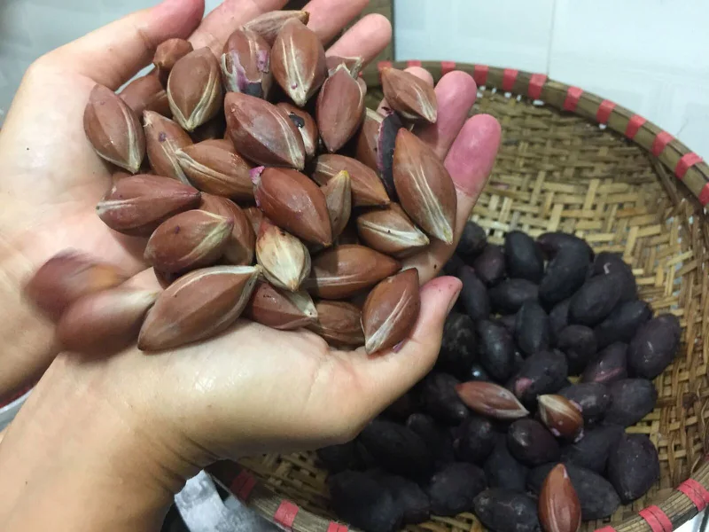 Trám đen Phiêng Mựt
