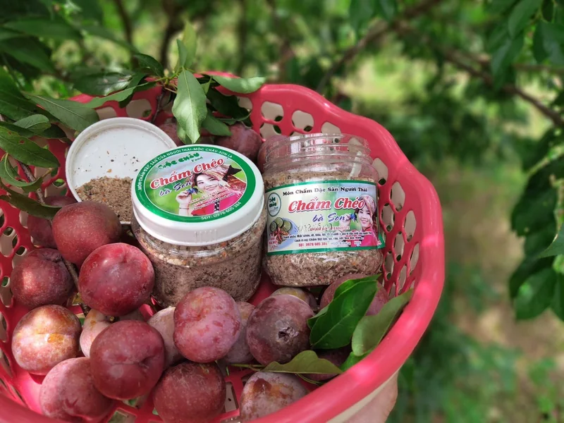 Chẩm chéo khô