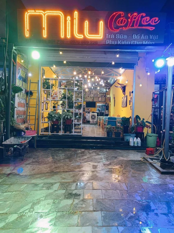 Milu Coffee