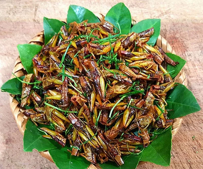 Muồm muỗm rang