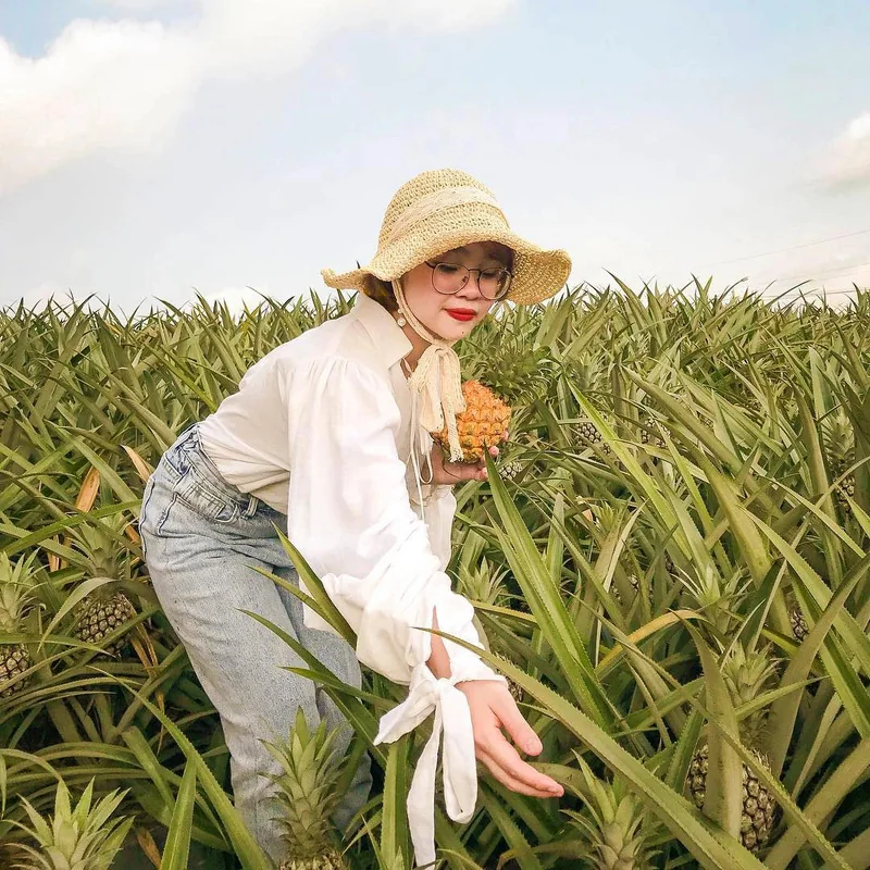 Dứa Đồng Giao