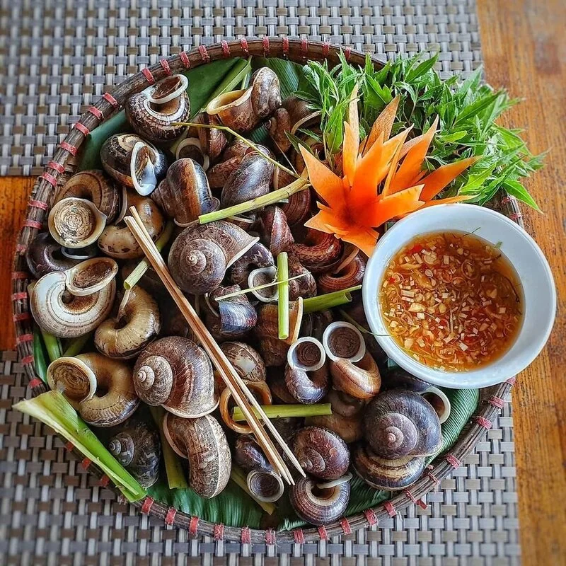 Ốc núi