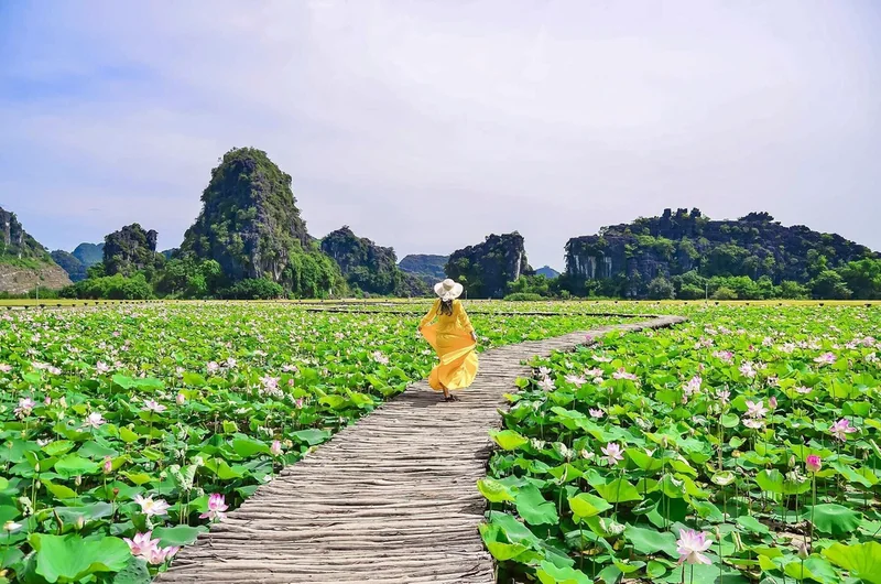 Các món từ củ sen