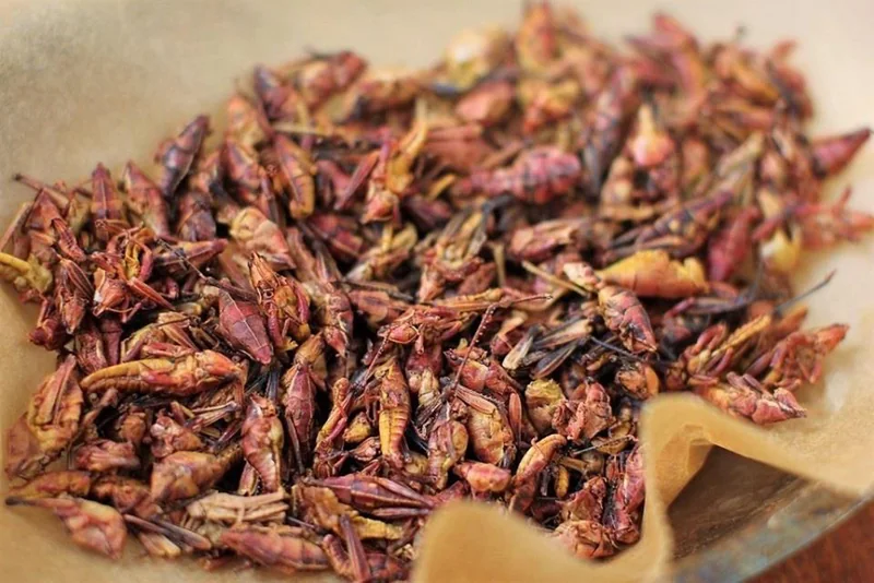Chôm chôm rừng chiên xù