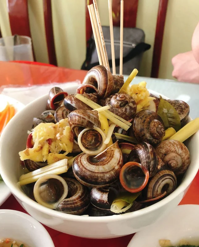 Ốc núi
