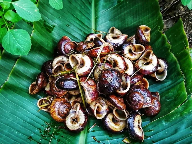 Nhà hàng Vạn Bảo Ngọc