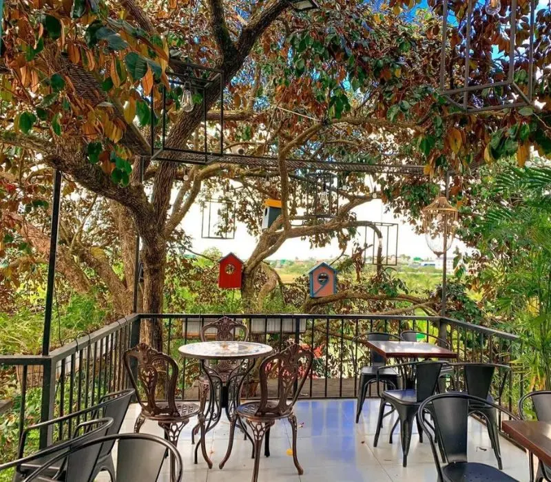 Ngon Avatar Coffee Garden Teahouse & Events