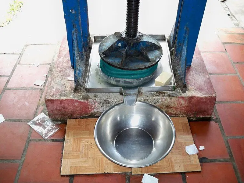 Nguyên liệu tạo vị béo và ngọt thanh