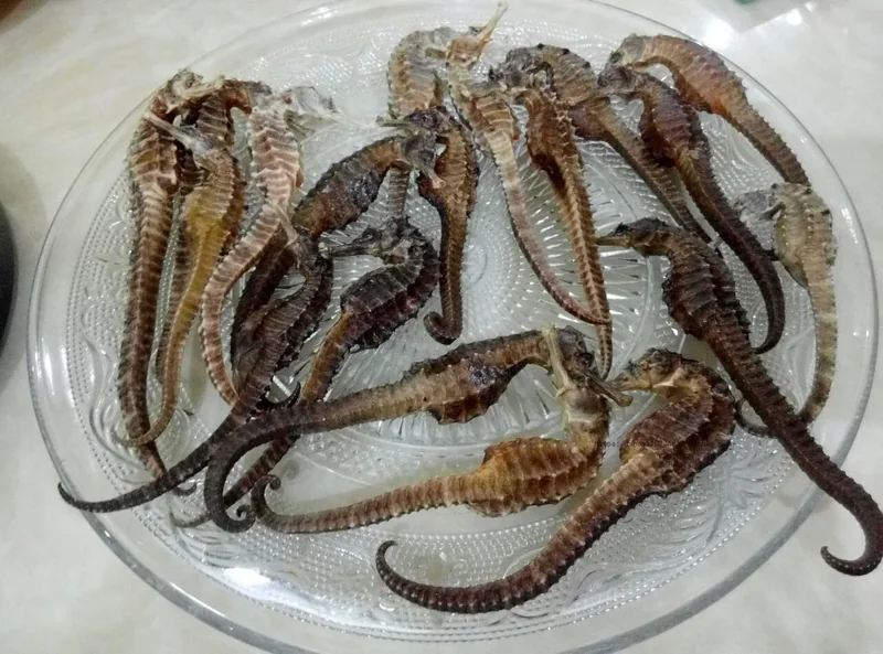 Cá ngựa khô