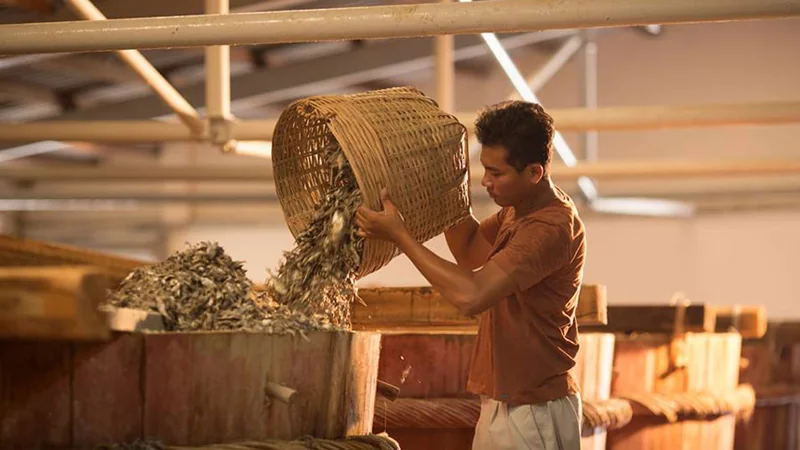 Nước mắm nhĩ Nha Trang