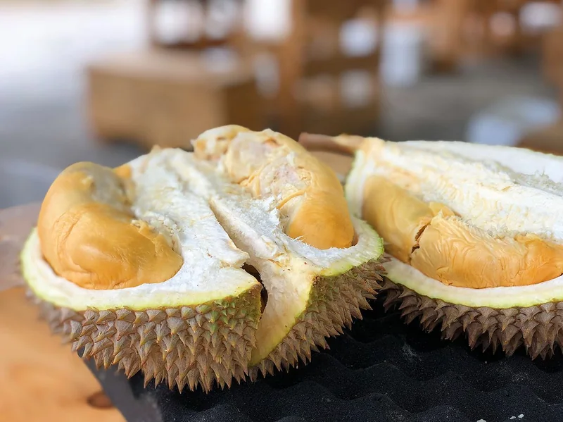 Sầu riêng Khánh Sơn
