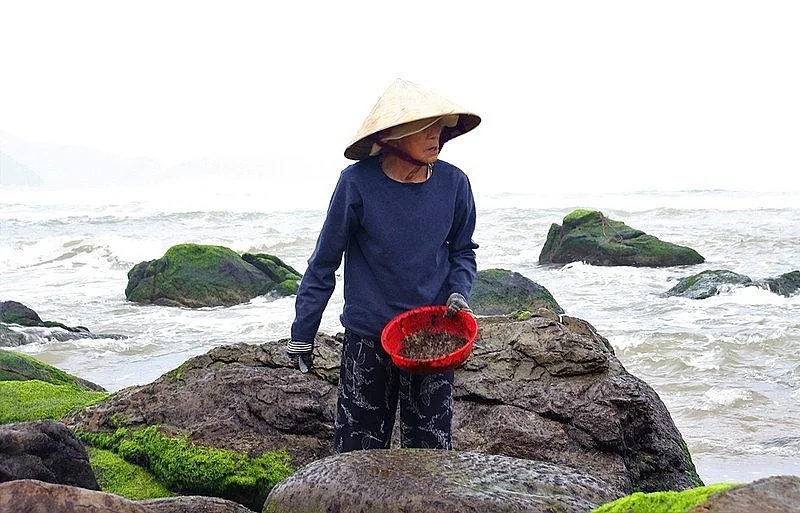 Âu Việt - Đặc sản Nha Trang