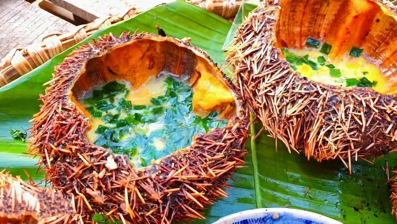 Nhum biển chưng trứng