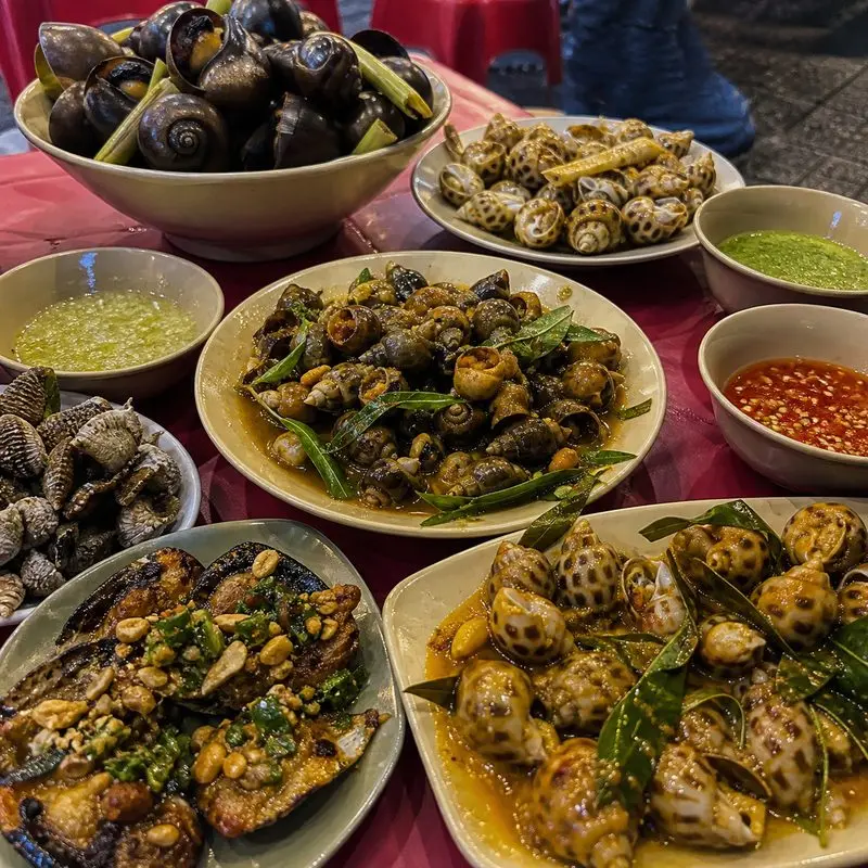 Ốc Biển 2
