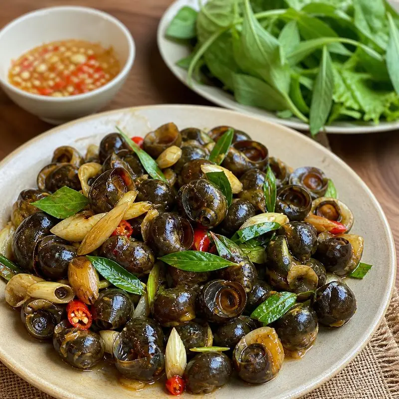 Ốc Hiếu Long