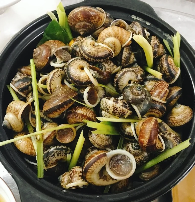 Ốc xu Núi Bà