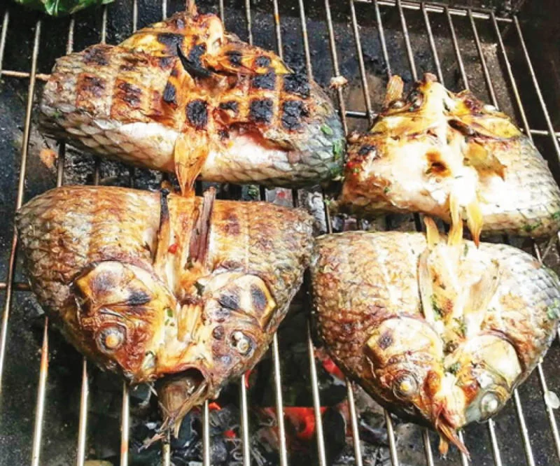 Bản văn hóa Co Mỵ