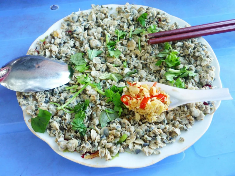 Chắt chắt sông Gianh