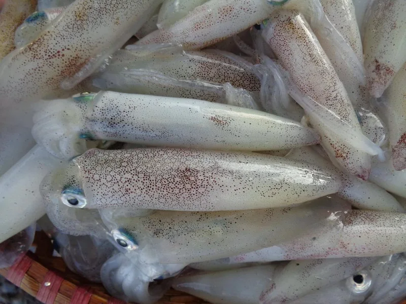 Mực nhảy xào sa tế