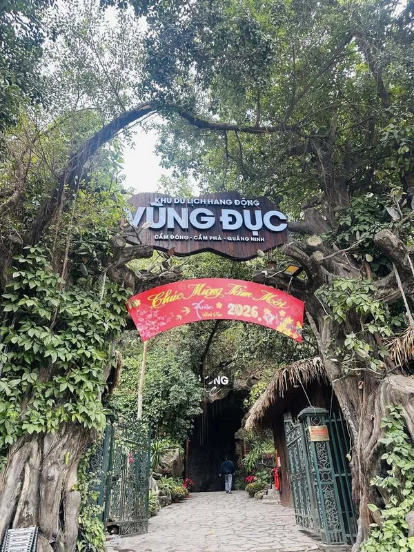 Hang Vũng Đục