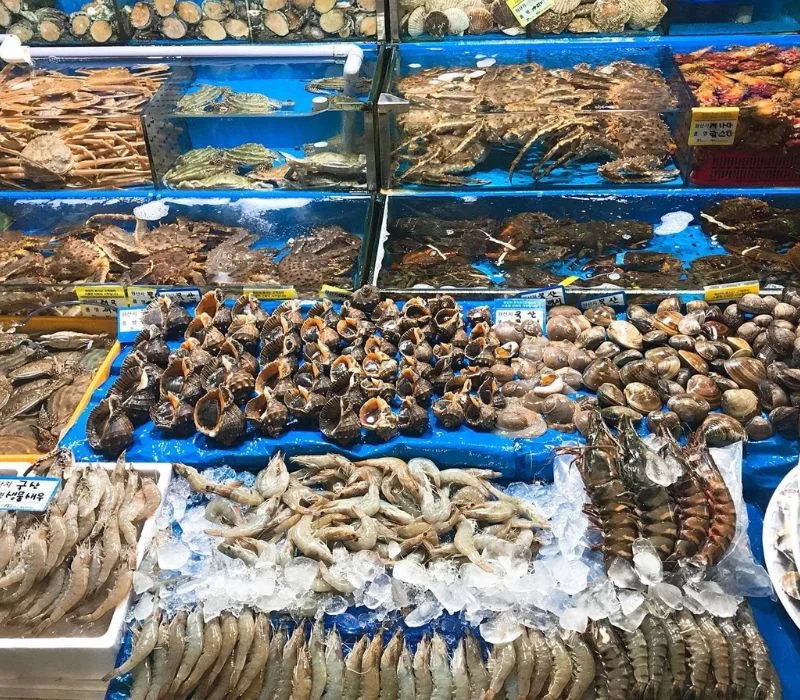 Chợ hải sản Hòn Gai