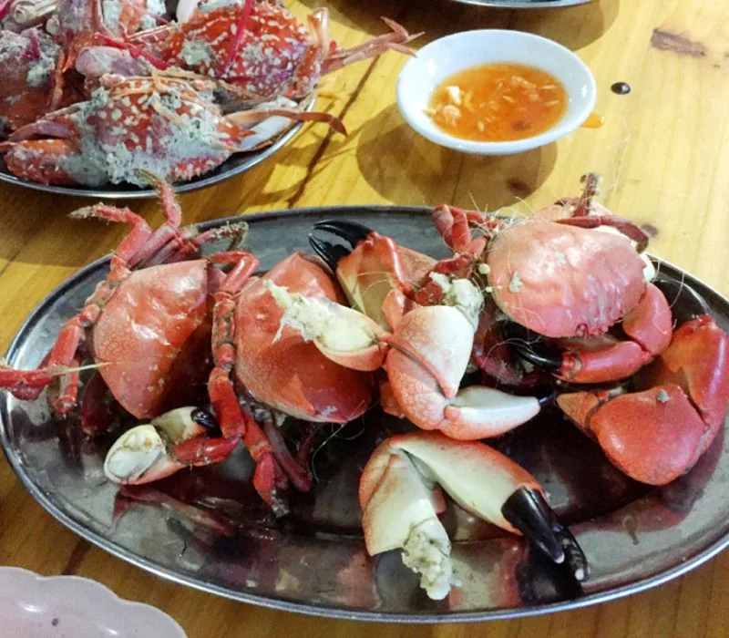 Cù kỳ