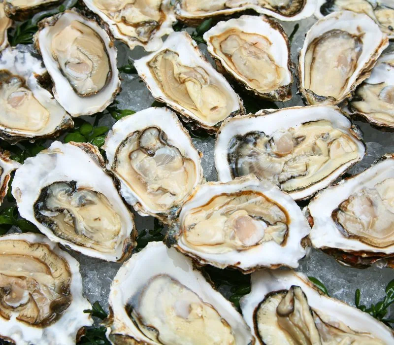 Hàu